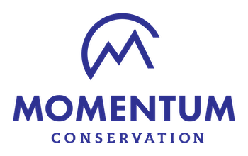 Momentum Conservation logo